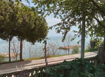 turkiye/sinop/gerze/1000052486d6bb2db606bb4688b2d52b79db947e66.jpg