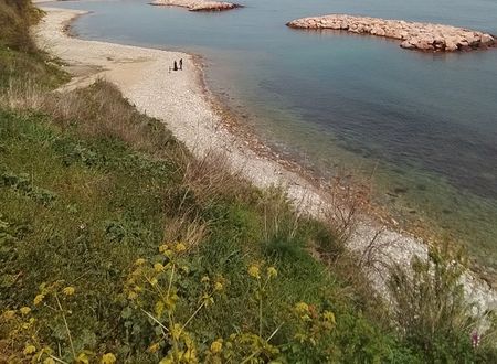 turkiye/sinop/gerze/1000052492f16de22ef28c4d149630516fedfcfa69.jpg