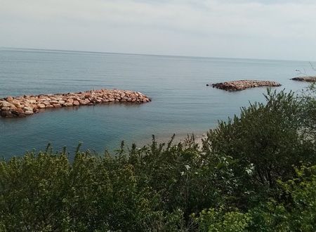 turkiye/sinop/gerze/100005249322fe298255e449788c859b7278200286.jpg