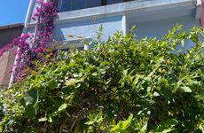 turkiye/sinop/gerze/img_4133d46fd084862d475f8855128cca7a8ce3.jpeg
