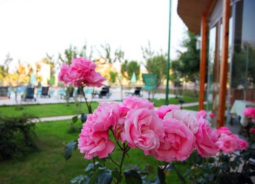 turkiye/sinop/merkez/heyamola-resort-222232.jpg