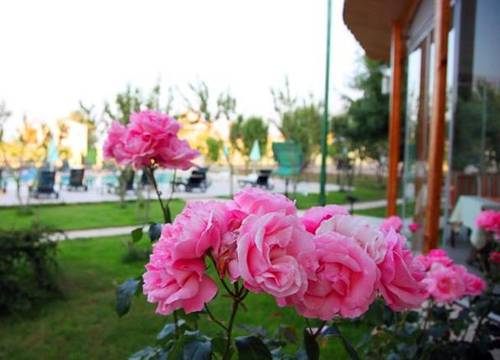 turkiye/sinop/sinop-merkez/heyamola-resort-286734539.jpg