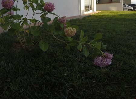 turkiye/sinop/sinop-merkez/sinop-loca-butik-otel_89f0fcfe.jpeg