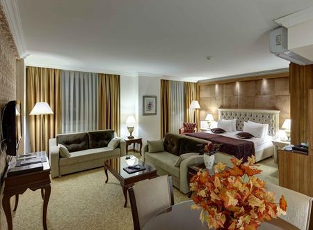 turkiye/sivas/merkez/sivas-buruciye-otel_7cd96bf2.jpg
