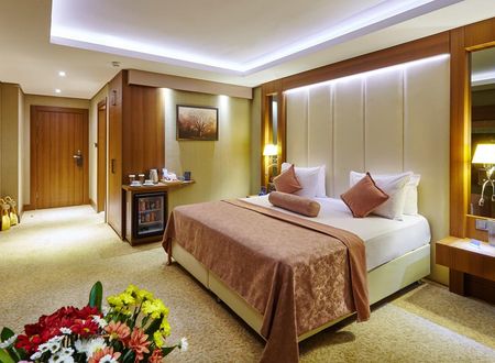turkiye/sivas/merkez/sivas-buruciye-otel_b9c71e6f.jpg
