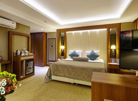 turkiye/sivas/merkez/sivas-buruciye-otel_c6059ccc.jpg