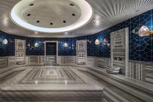 turkiye/stanbul/topkapi/doubletree-by-hilton-istanbul-topkapi_82111789.jpg