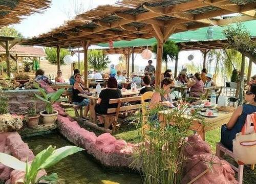 turkiye/tekirdag/marmara-ereglisi/safir-beach-resort-hotel-restaurant-social-facility_ecaec99a.jpg