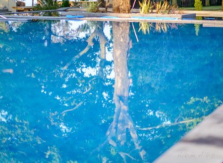 turkiye/tekirdag/merkez/seker-kamp-apart-otel_bce4150c.jpg