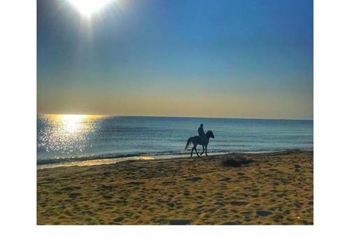 turkiye/tekirdag/tekirdagmerkez/nova-port-boutique-hotel-7307427d.jpeg