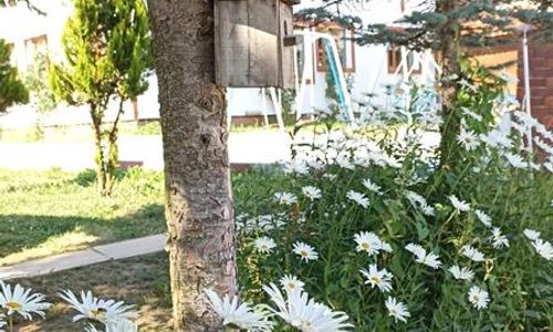 turkiye/tokat/niksar/doruk-garden-hotel-tokat_7982eee7.jpg