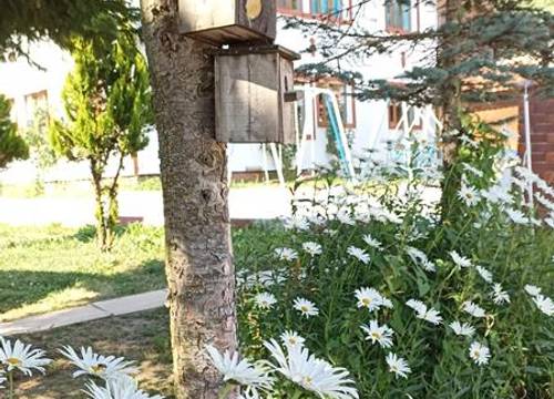 turkiye/tokat/niksar/doruk-garden-hotel-tokat_7982eee7.jpg