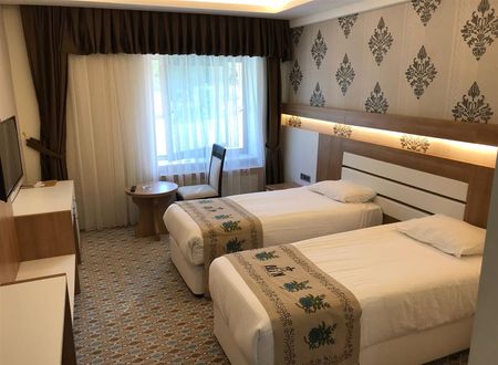 turkiye/tokat/tokatmerkez/grand-alin-otel-tokat-4db6043f.jpeg