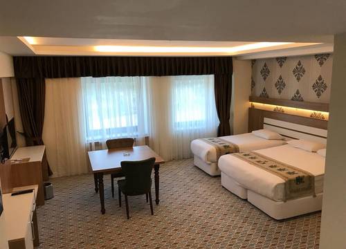 turkiye/tokat/tokatmerkez/grand-alin-otel-tokat-88d7baf4.jpeg