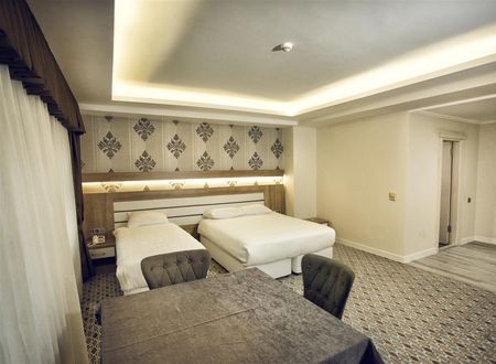 turkiye/tokat/tokatmerkez/grand-alin-otel-tokat-ae802c7f.jpg