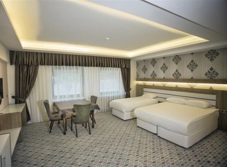 turkiye/tokat/tokatmerkez/grand-alin-otel-tokat-de5a085b.jpg
