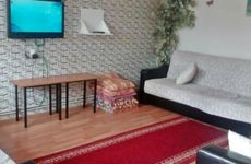 turkiye/trabzon/akcaabat/aysel-hanim-pansiyon-ddd5d019.jpg