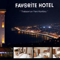 Favorite Hotel