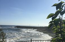 turkiye/trabzon/akcaabat/trabzon-sea-pearl_81bdd254.jpg