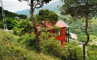 Forest Mansion · 3