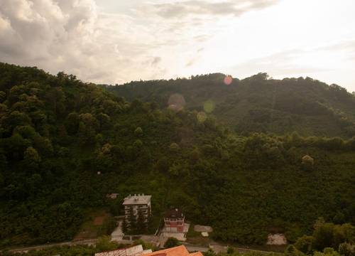turkiye/trabzon/arakli/royal-comfort-suites_5f8101d4.jpeg