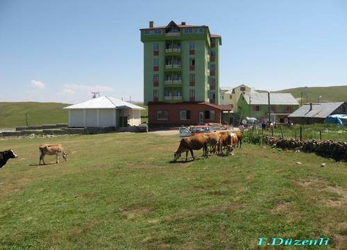 turkiye/trabzon/caykara/kardelen-otel_3629cda8.jpg