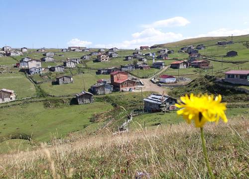 turkiye/trabzon/caykara/karester-yaylasi-migroras-otel-restaurant_c8f4379d.jpg