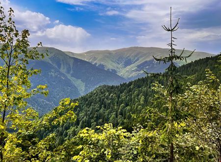 turkiye/trabzon/caykara/lahza-hills-resort_9e16d84b.jpg