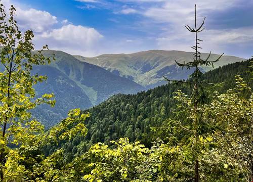 turkiye/trabzon/caykara/lahza-hills-resort_9e16d84b.jpg