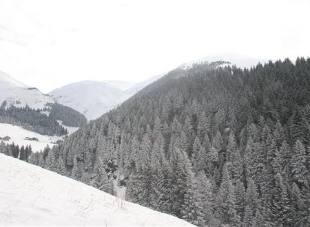 turkiye/trabzon/macka/azra-dag-evi-18614566.JPG