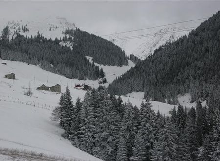 turkiye/trabzon/macka/azra-dag-evi-518697753.JPG