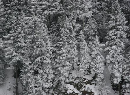 turkiye/trabzon/macka/azra-dag-evi-847471330.JPG