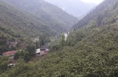 turkiye/trabzon/macka/balkon-pansiyon-macka_24d92390.jpeg