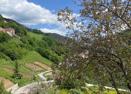 turkiye/trabzon/macka/bizim-ora-kume-evleri-bungalov_367444fb.jpg