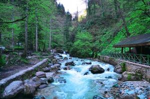 turkiye/trabzon/macka/grand-mela-hotel_39232cdf.jpg