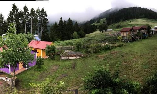 detsis 3 lü ganyan hesaplama