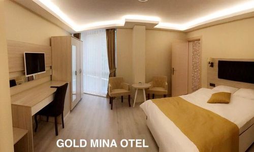 turkiye/trabzon/merkez/gold-mina-otel_3b9620fb.jpg