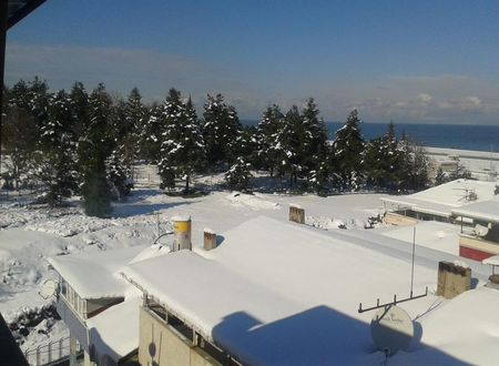 turkiye/trabzon/merkez/menekse-apart_6317822c.jpg