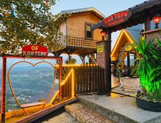 1+1 Wood Bungalov & Little House