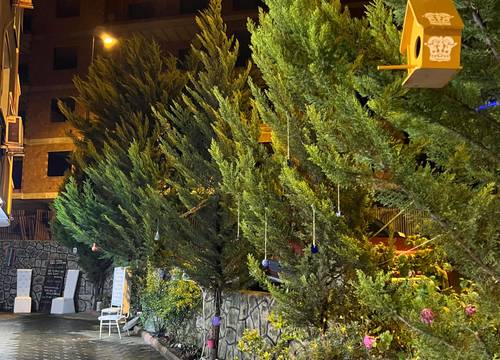 turkiye/trabzon/ortahisar/img_8851712e9b6bc2f1423b8b76e4dcf1d41b87.jpeg