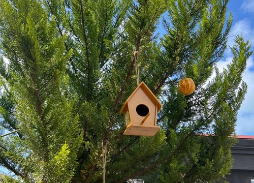 turkiye/trabzon/ortahisar/img_89291dce7e66afe84c3a8ca96b6b023a9267.jpeg