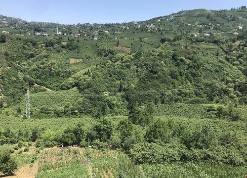 turkiye/trabzon/ortahisar/karabina-village-houses_7b9ee93e.jpg