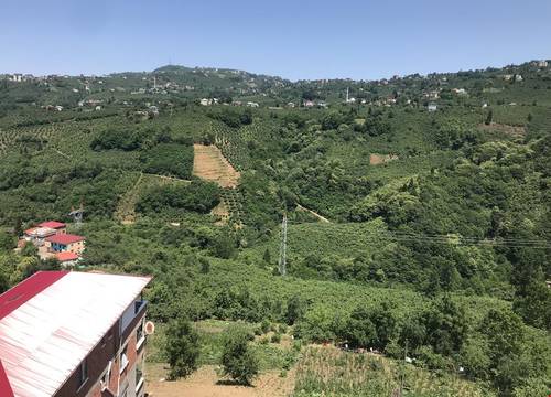 turkiye/trabzon/ortahisar/karabina-village-houses_aceda7bf.jpg