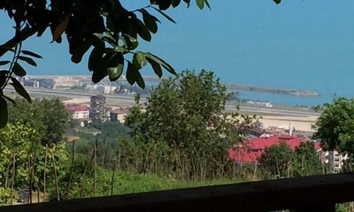 turkiye/trabzon/ortahisar/menekse-apart-2_458b0631.jpg