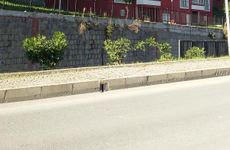 turkiye/trabzon/ortahisar/zagnos-apartment_cc71270a.jpg