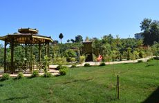 turkiye/trabzon/ortahisar/zahi-hotel-dream-houses_c189a5d3.jpg