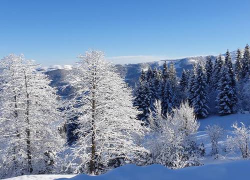 turkiye/trabzon/salpazari/sisdagi-zirve-otel_efe6eb0d.jpg