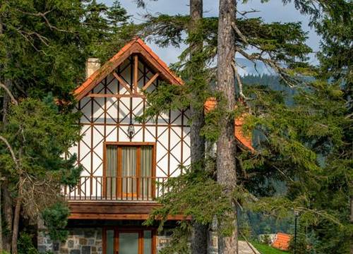 turkiye/trabzon/tonya/foleya-mountain-resort-villa_58864d3b.jpg