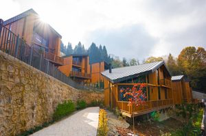 turkiye/trabzon/trabzon-merkez/magmat-resort-bungalow_bf16d7fb.jpg