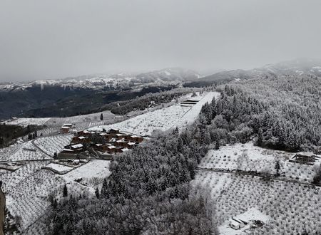 turkiye/trabzon/trabzon-merkez/magmat-resort-bungalow_c9072737.jpg